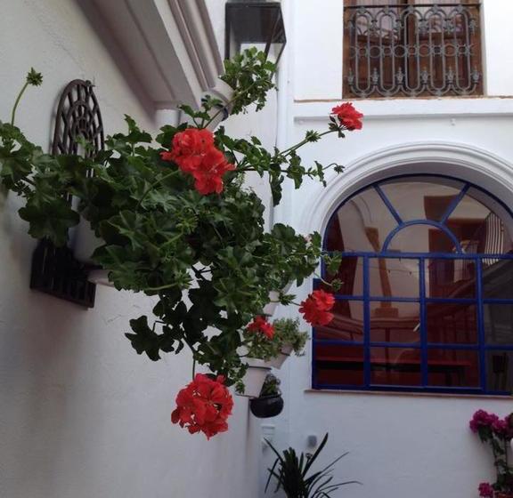 تختخواب و صبحانه El Sueño Hostel