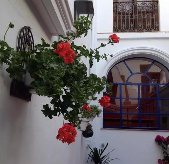 تختخواب و صبحانه El Sueño Hostel
