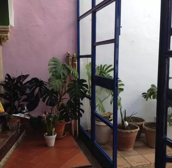 تختخواب و صبحانه El Sueño Hostel