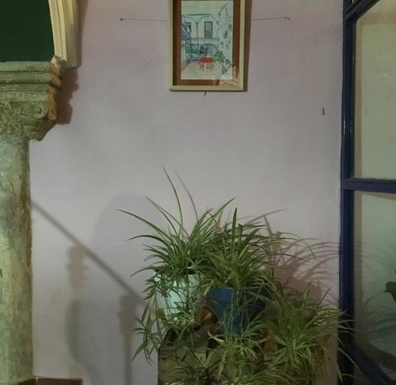 تختخواب و صبحانه El Sueño Hostel