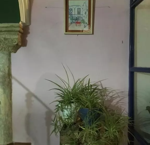 تختخواب و صبحانه El Sueño Hostel