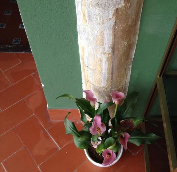 تختخواب و صبحانه El Sueño Hostel