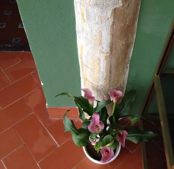 تختخواب و صبحانه El Sueño Hostel