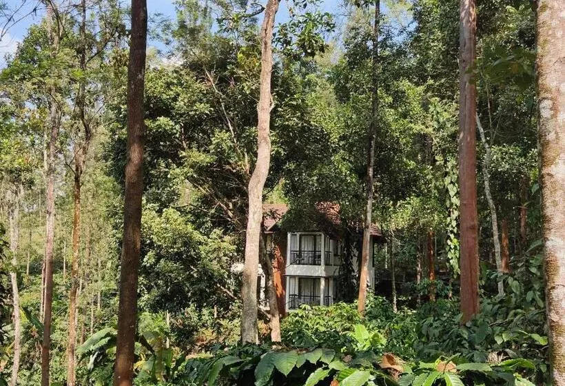 Willow Resorts