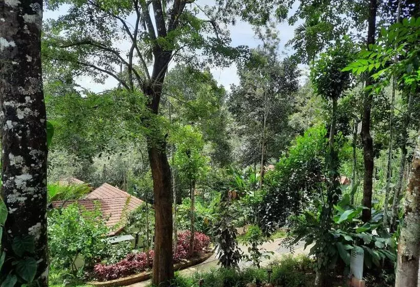 Willow Resorts