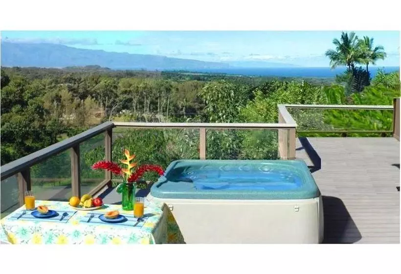 Aamiaismajoitus (B&B) Adventure In Paradise