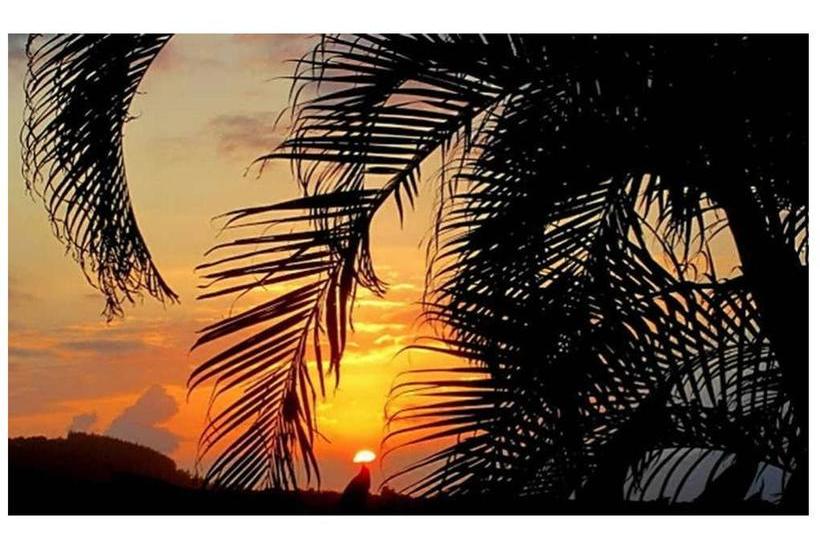 Bed & Breakfast Adventure In Paradise