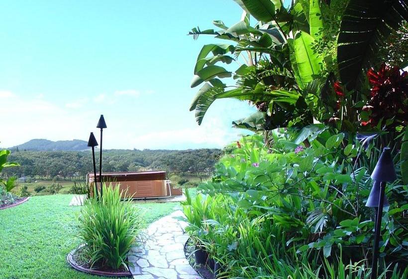 Bed & Breakfast Adventure In Paradise