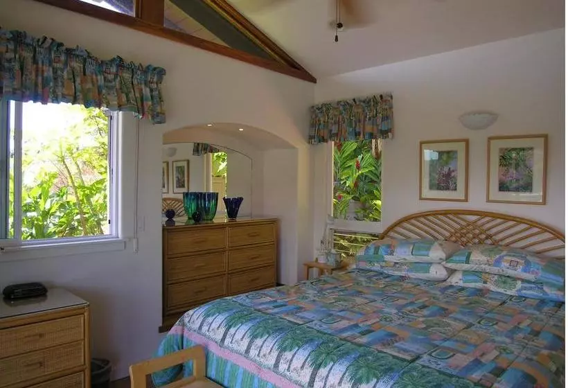 Aamiaismajoitus (B&B) Adventure In Paradise