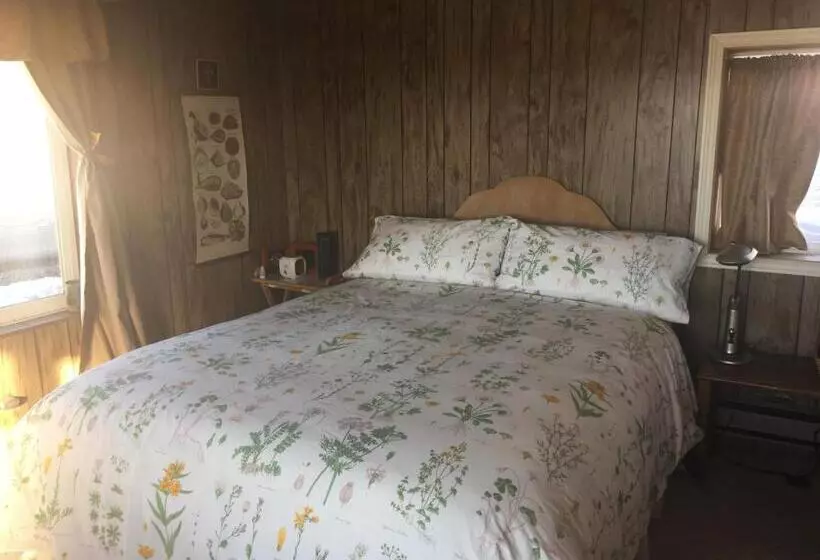 Aamiaismajoitus (B&B) Homer Stay And Play