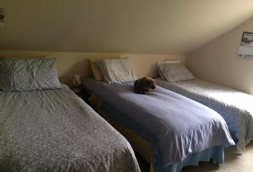 Aamiaismajoitus (B&B) Homer Stay And Play