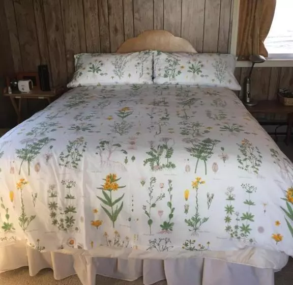 Aamiaismajoitus (B&B) Homer Stay And Play