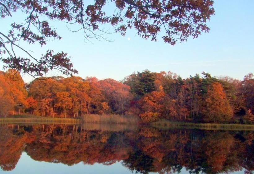 צימר House On Chase Creek