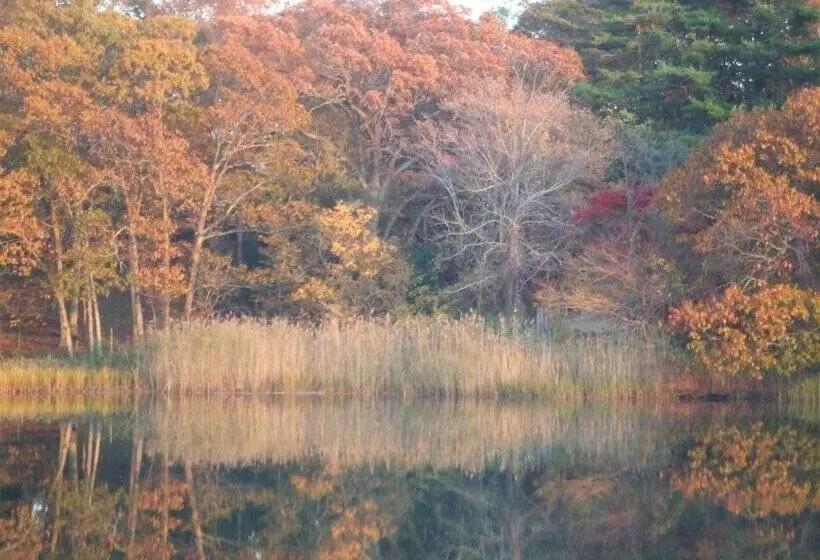 ベッドアンドブレックファースト House On Chase Creek