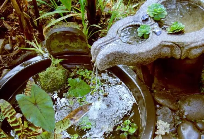 Aamiaismajoitus (B&B) Lotus Garden Cottages