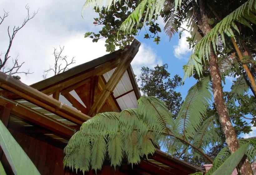 Bed and Breakfast Lotus Garden Cottages