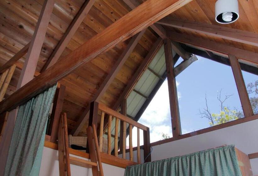 Bed and Breakfast Lotus Garden Cottages