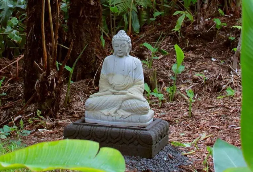 Aamiaismajoitus (B&B) Lotus Garden Cottages