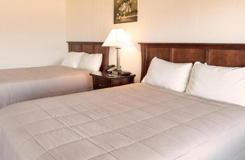 Copley Lareine Motel