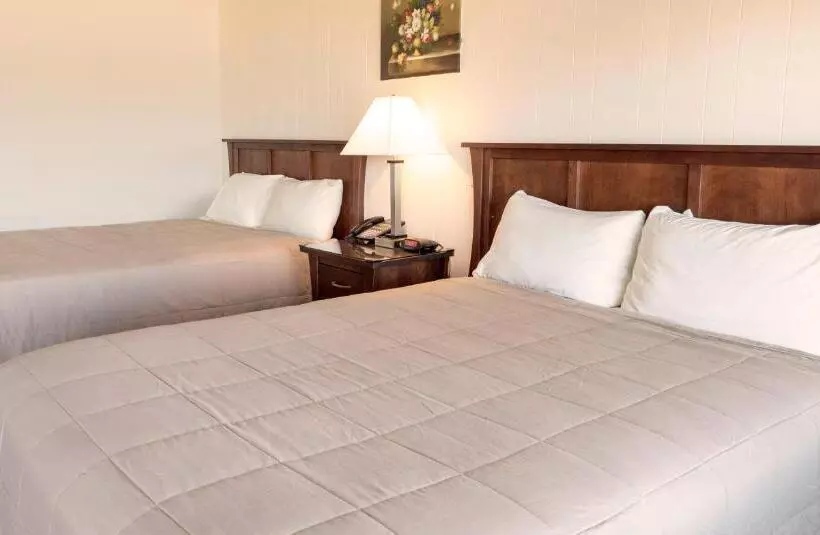 Copley Lareine Motel