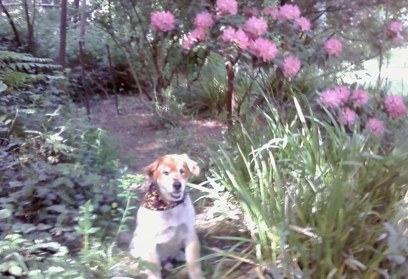 Fairview Manor Bed And Breakfast