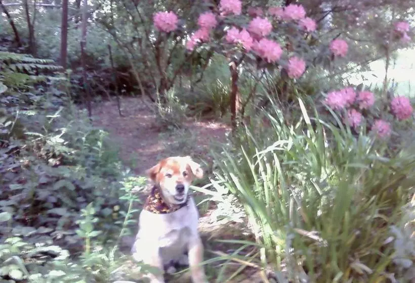 Fairview Manor Bed And Breakfast