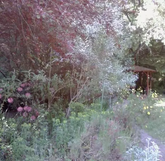 Fairview Manor Bed And Breakfast