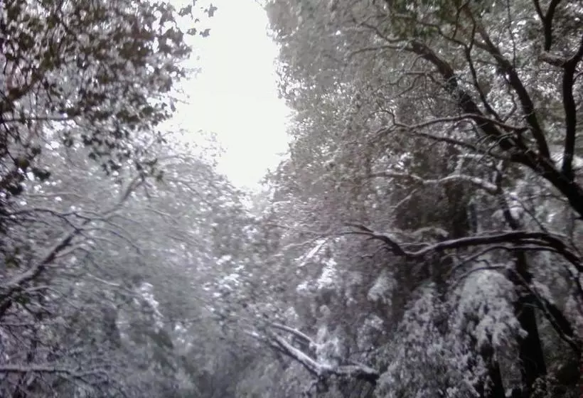 Fairview Manor Bed And Breakfast