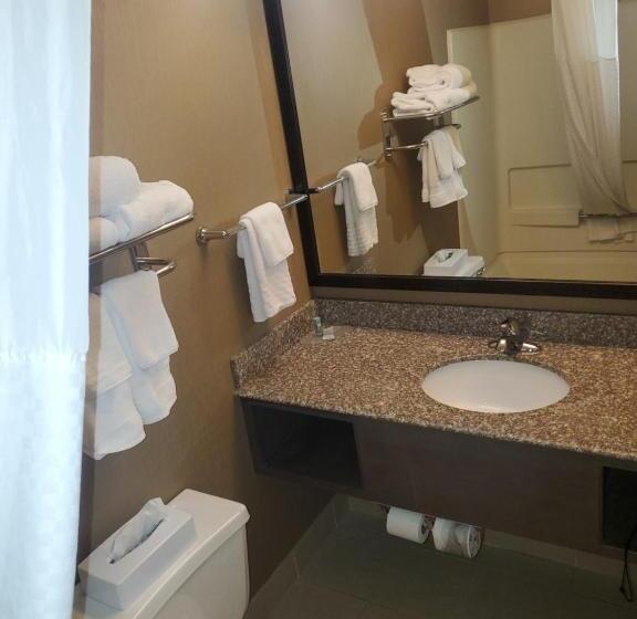 בית מלון כפרי Best Western Maple City Inn