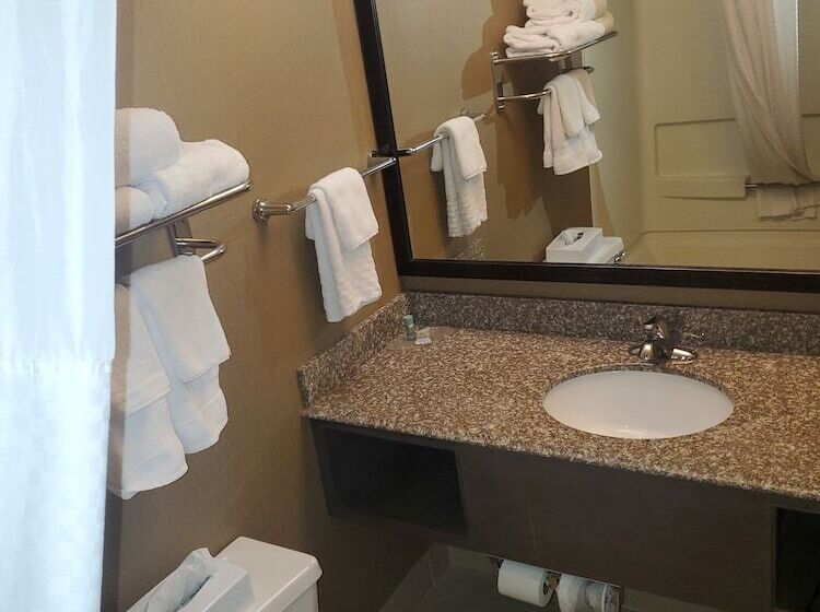 בית מלון כפרי Best Western Maple City Inn