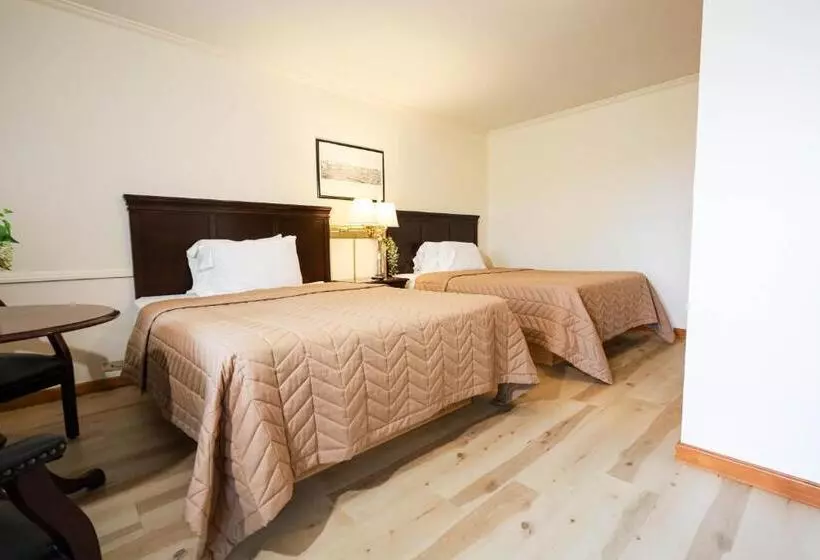 モーテル Chatham Travel Lodge