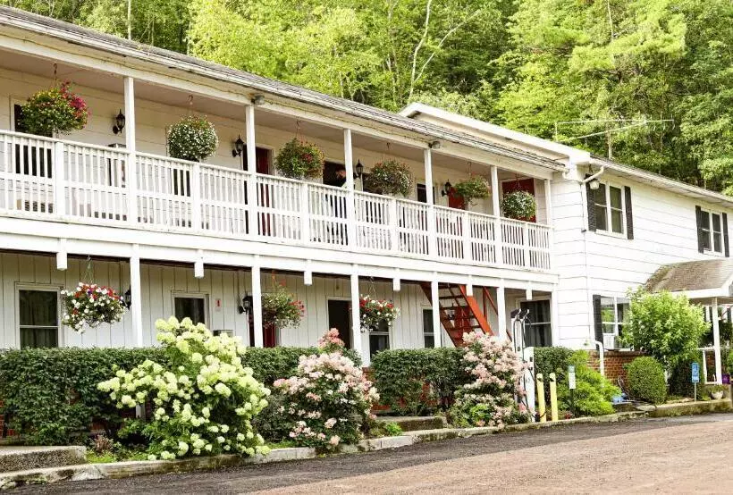 モーテル Chatham Travel Lodge
