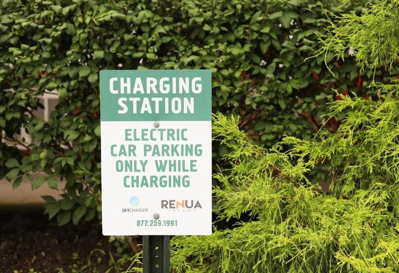 מוטל Chatham Travel Lodge