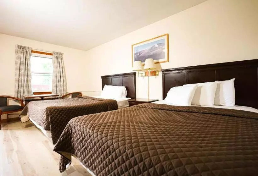 モーテル Chatham Travel Lodge