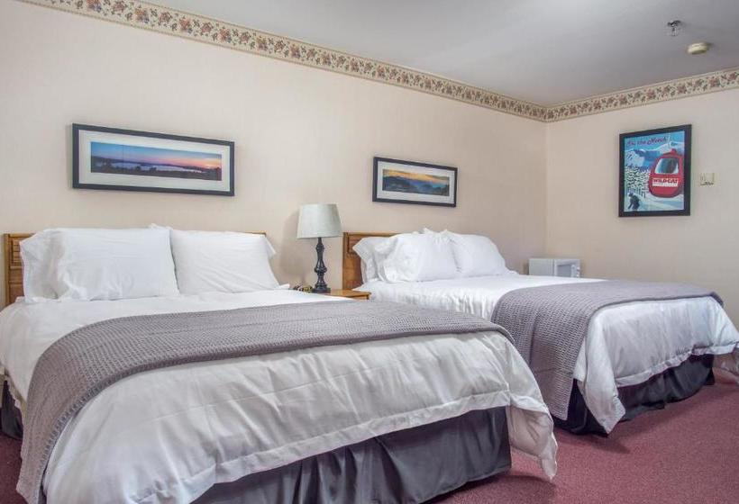 モーテル Mountain Village Lodge