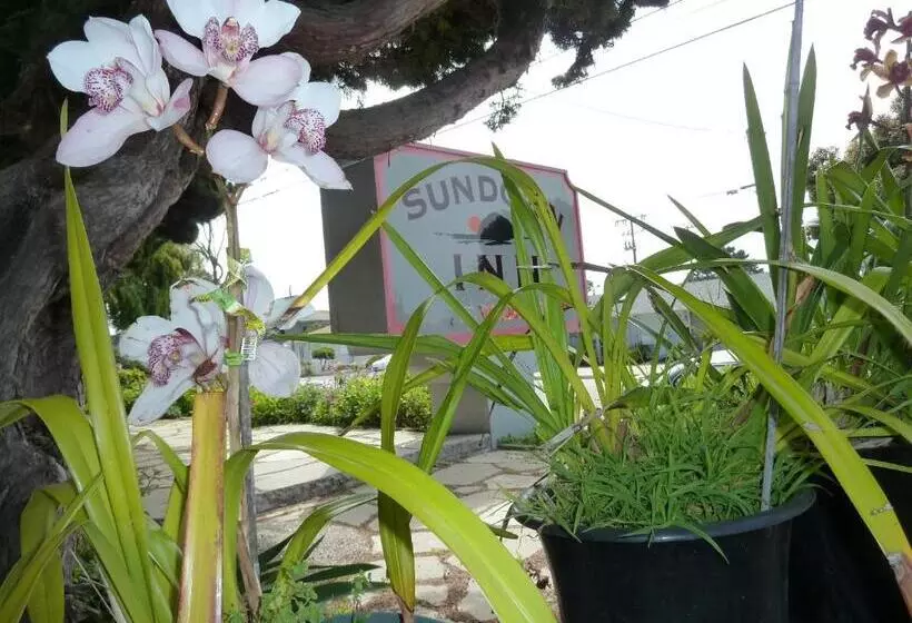 モーテル Sundown Inn Of Morro Bay