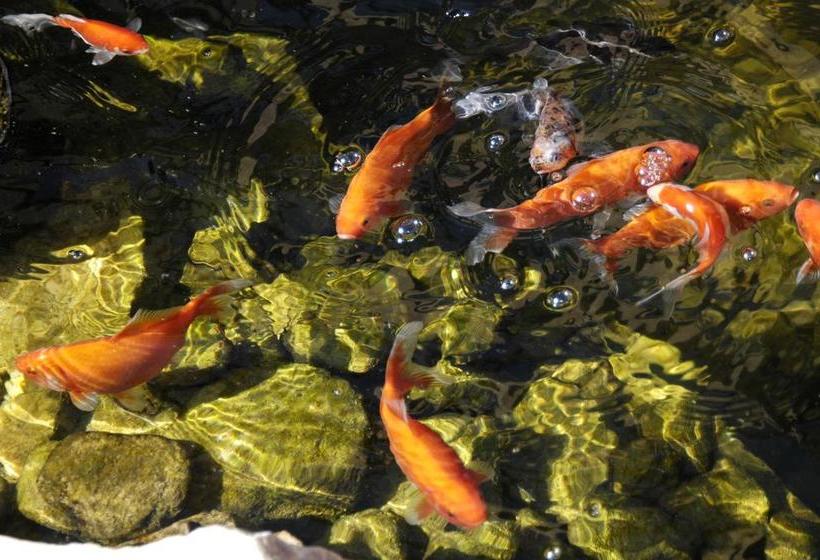 Bed and Breakfast Milo S Inn At Boulder