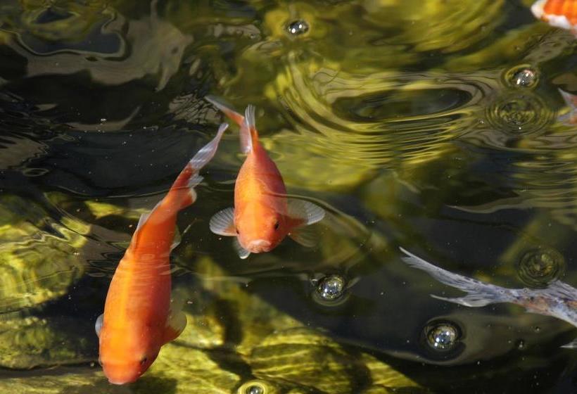Bed and Breakfast Milo S Inn At Boulder