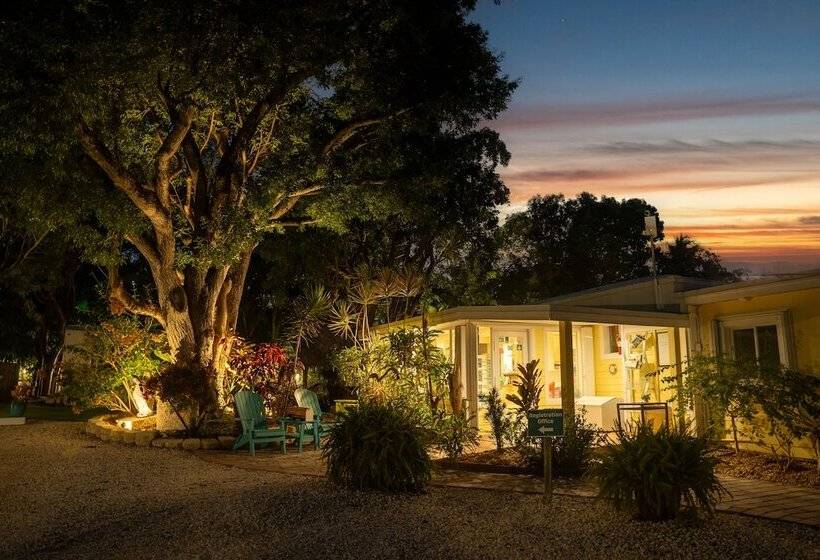 Отель Bay Harbor Lodge