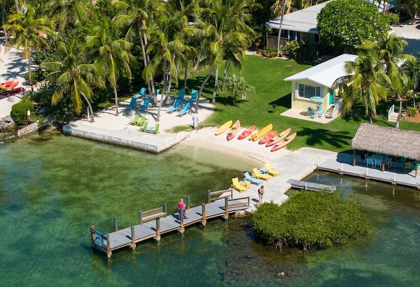 Отель Bay Harbor Lodge