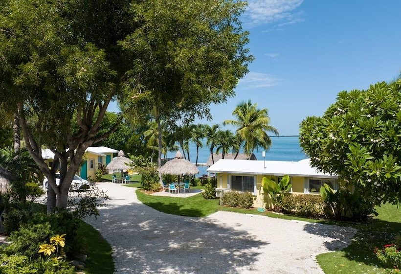 בית מלון כפרי Bay Harbor Lodge