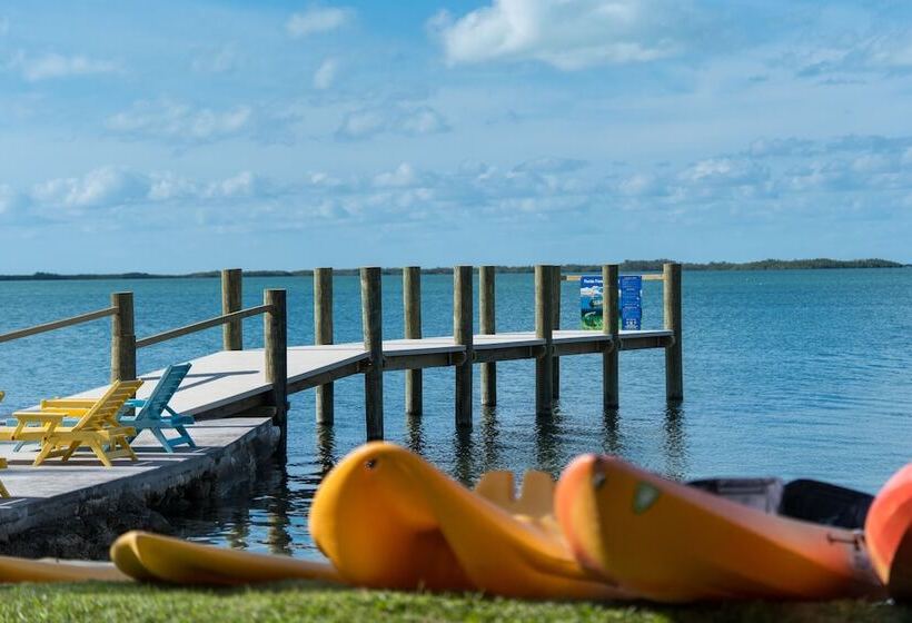 Отель Bay Harbor Lodge