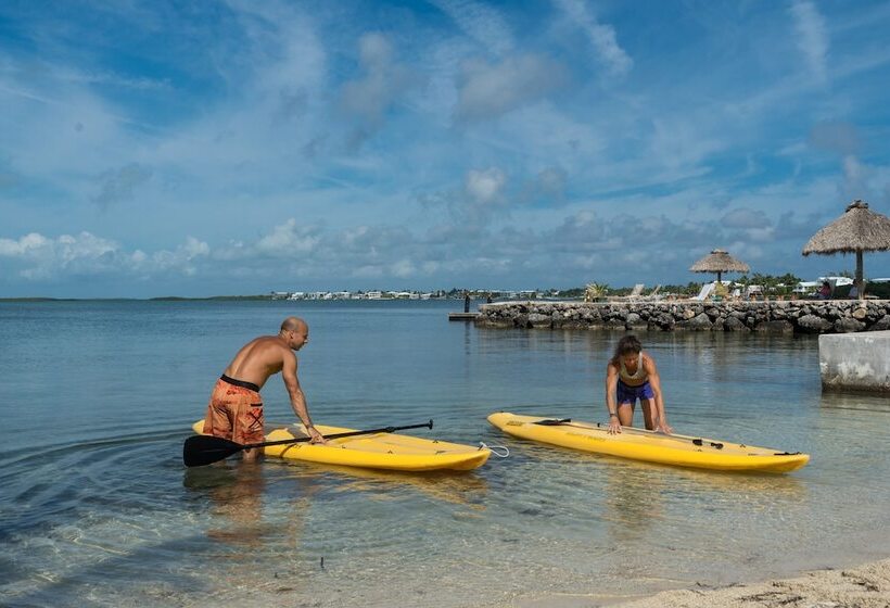 فندق Bay Harbor Lodge