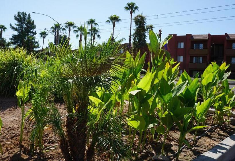 Mesa Oasis Inn & Motel