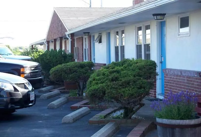 モーテル Blue Sea Motor Inn