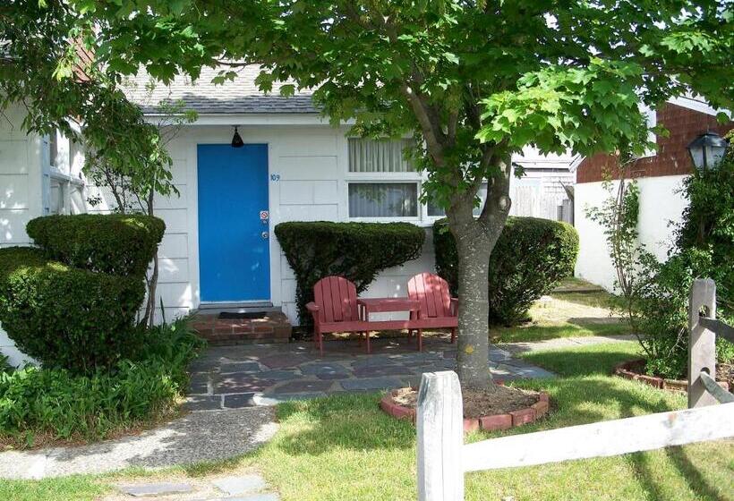 مُتل Blue Sea Motor Inn