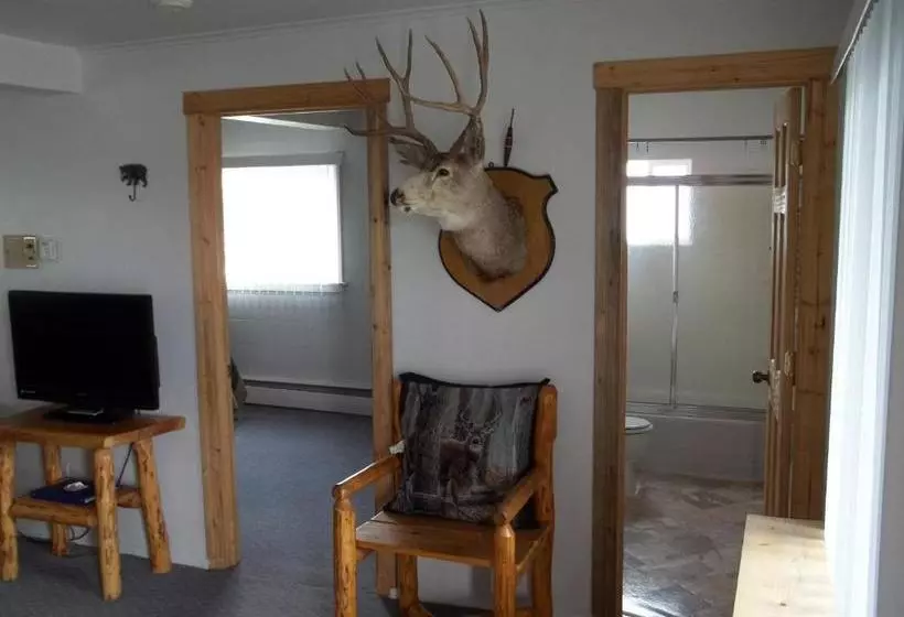 モーテル Budget Host Elk Antler Inn