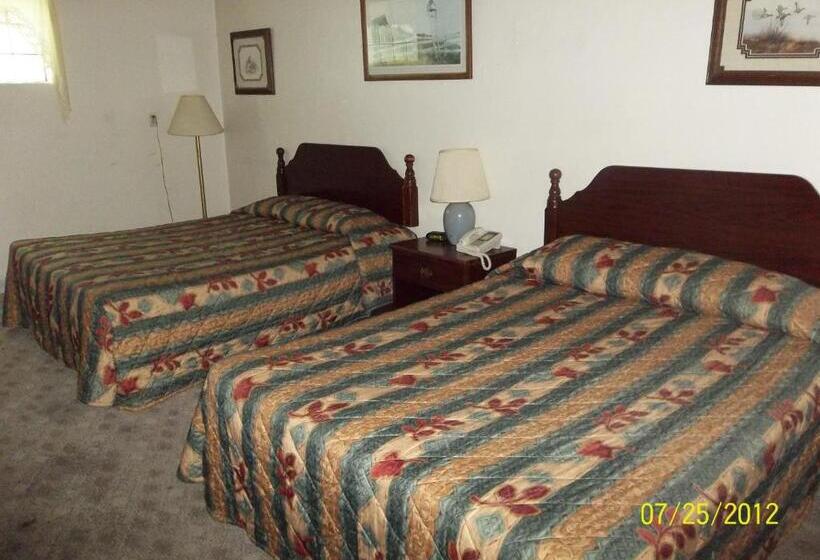 モーテル Clearview Motor Inn