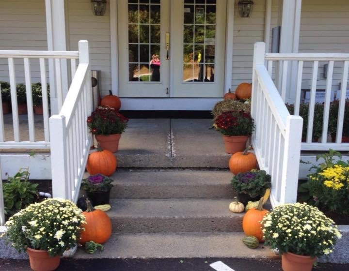 汽车旅馆  Golden Apple Inn