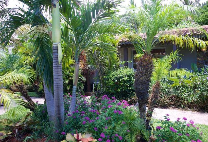 منتجع Royal Flamingo Villas